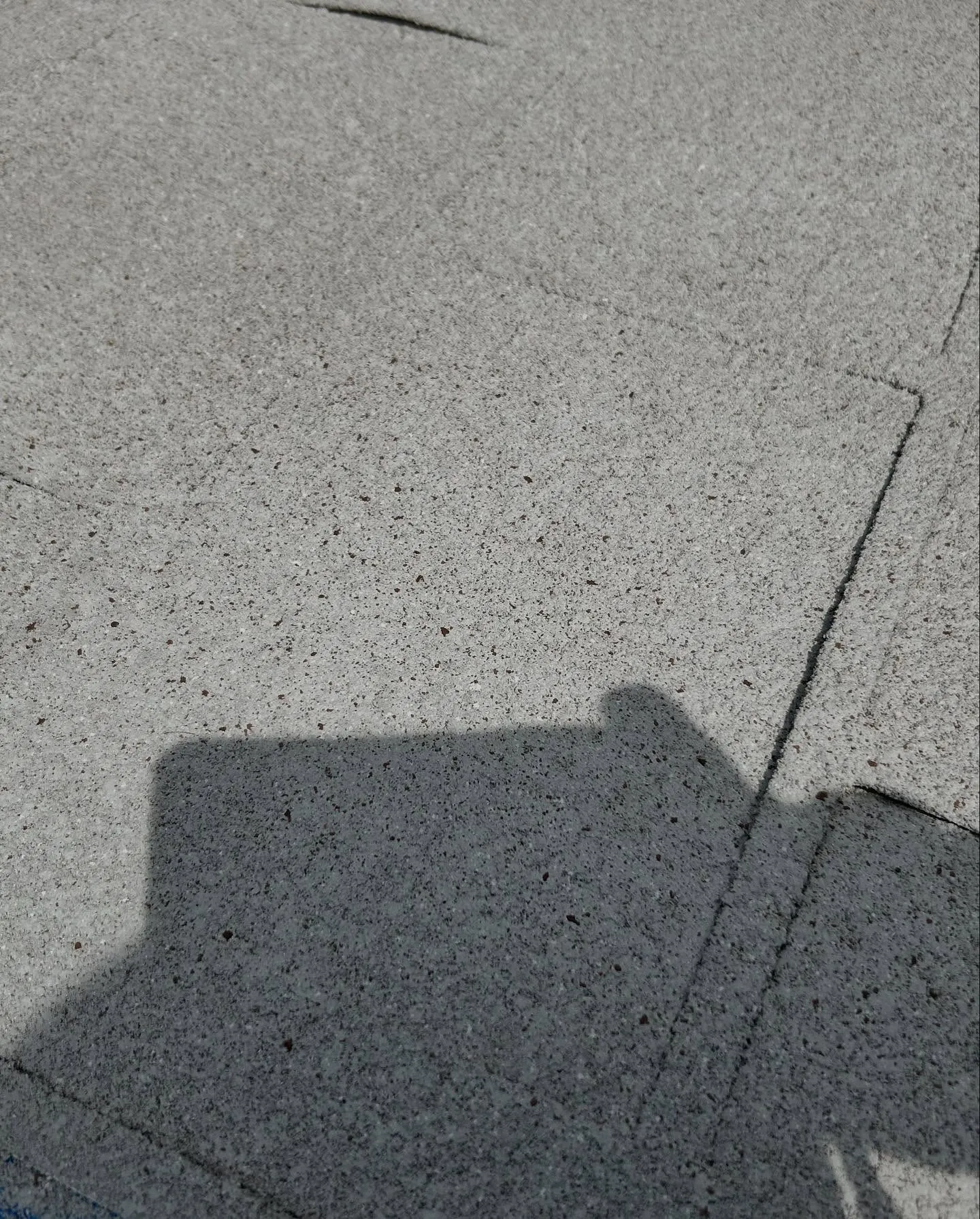 はい、こんにちは。