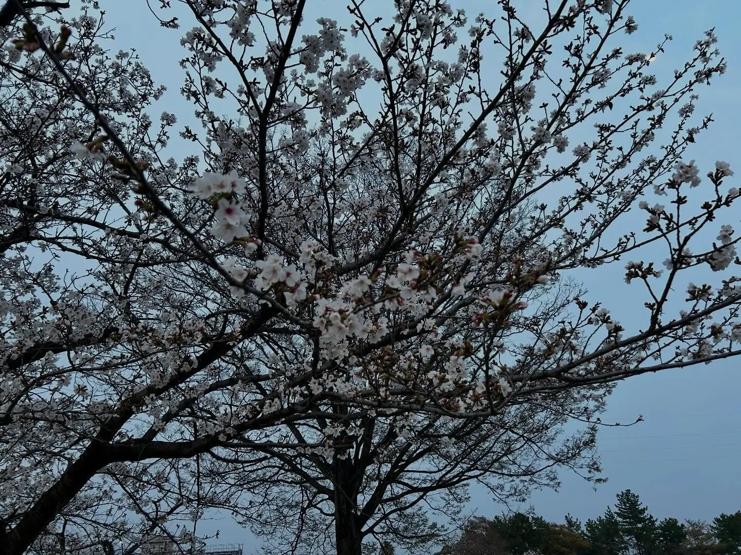 はい、こんにちは😃